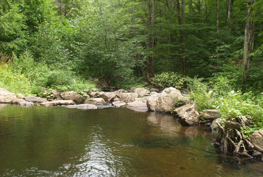 Swimming hole at Mountain River Academy of T'ai Chi Ch'uan